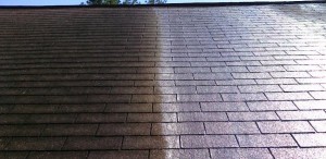 roof cleaning lugoff sc